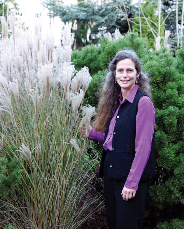 Photo by Diane Mattis 11a_sawyers.jpg