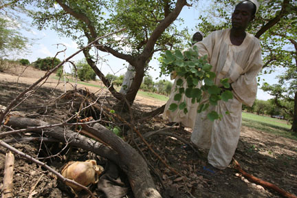 Photo by Hélène Caux 19a_burial.jpg