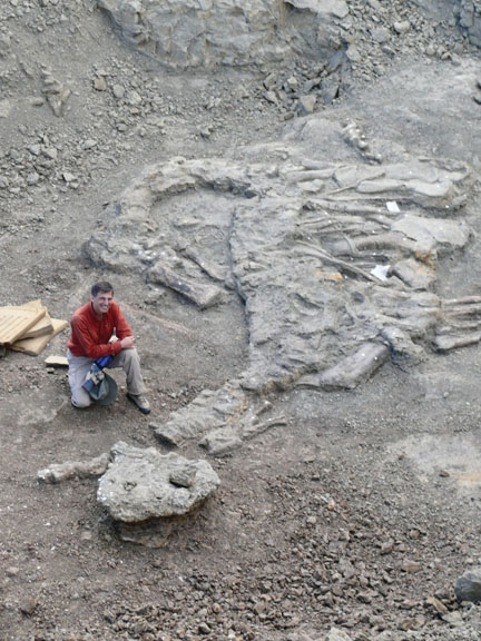 Photo by Holly Hellman 32a_dino.jpg