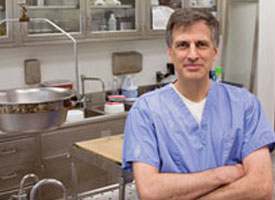 Meticulous Intensity