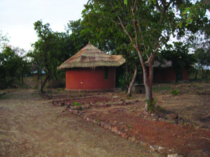 IMLhut.jpg IMLhut.jpg