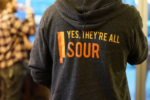 Back of a Hermit Thrush sweatshirt