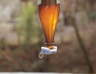 upside down beer bottle