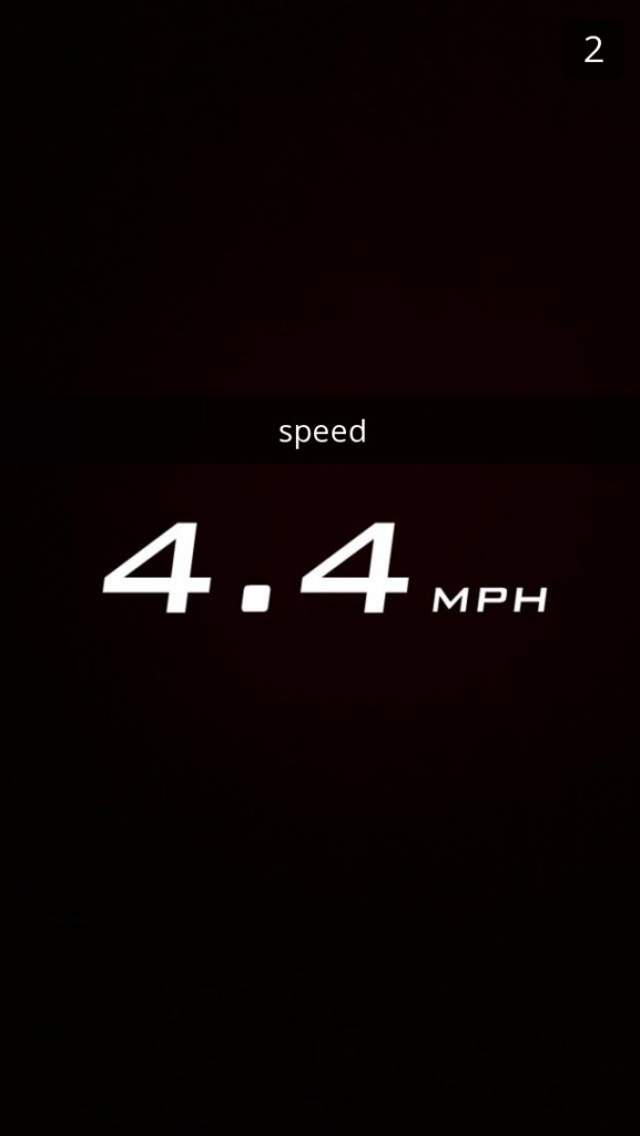 Image by Olivia Ortiz.