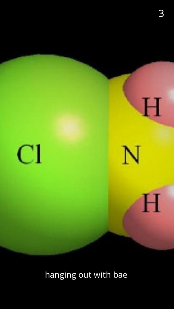 Image from http://www.reefkeeping.com/issues/2003-11/rhf/feature/