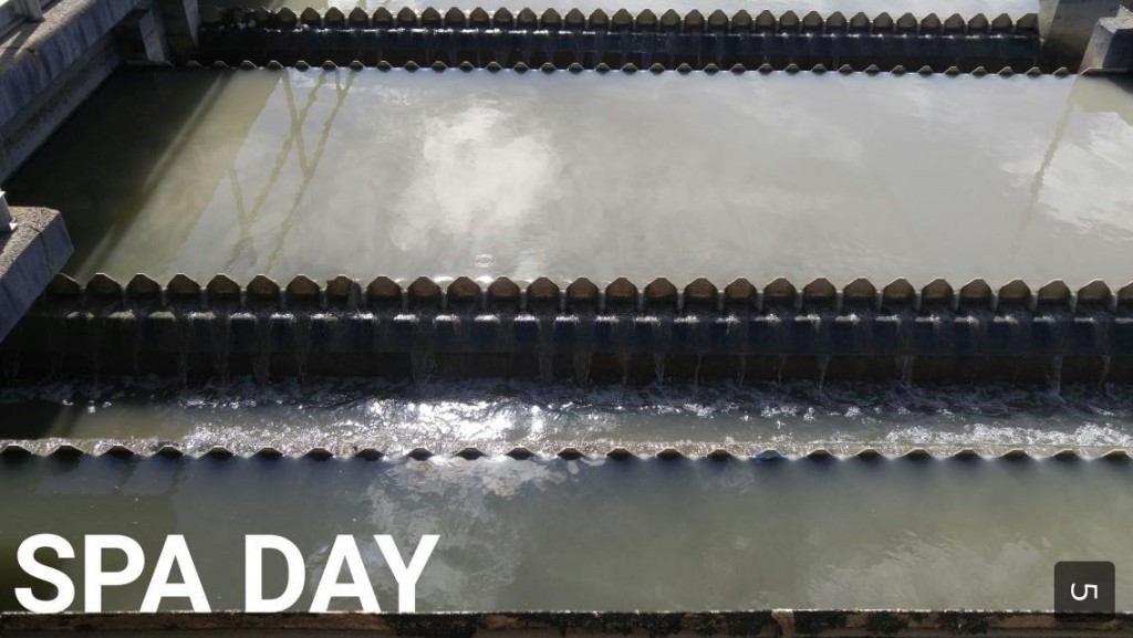 Image by Olivia Ortiz. 