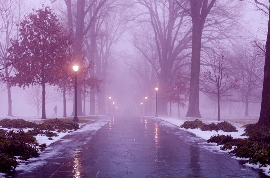 Go to the middle of Magill Walk at night, turn around, and look back at a path lined with fuzzy lights and Parrish Hall, sitting majestically at the top, all lit up.